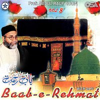 Prof. Abdul Rauf Roofi – Baab-e-Rehmat, Vol. 8