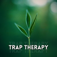 Přední strana obalu CD Trap Therapy