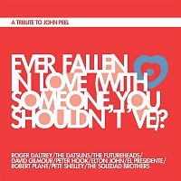 Ever Fallen In Love (With Someone You Shouldn't've)? [feat. Roger Daltrey, The Datsuns, The Futureheads, David Gilmour, Peter Hook, Pete Shelley, El Presidente, Robert Plant, Elton John & Soledad Brothers]
