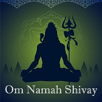 Různí interpreti – Om Namah Shivay