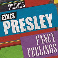 Přední strana obalu CD Fancy Feelings Vol. 5
