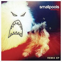 Smallpools – Dreaming Remix EP