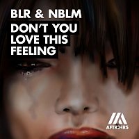 BLR & NBLM – Don't You Love This Feeling