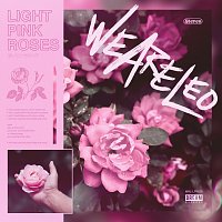 We Are Leo – Light Pink Roses