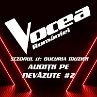 Přední strana obalu CD Vocea Romaniei: Audi?ii pe nevăzute #2 (Sezonul 11 - Bucuria Muzicii) [Live]