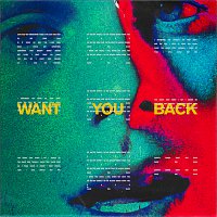 5 Seconds of Summer – Want You Back