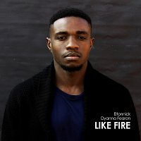 Eltonnick – Like Fire (feat. Dyanna Fearon)