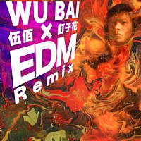 Ding Zi Hua [EDM Remix]