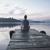 Různí interpreti – Calming Acoustic Pop