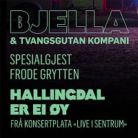 Stein Torleif Bjella, Frode Grytten – Hallingdal er ei oy [Live i sentrum]
