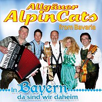 Allgauer Alpincats from Bavaria – In Bayern da sind wir daheim