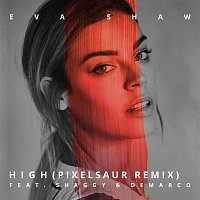 Eva Shaw, Shaggy, Demarco – High (Pixelsaur Remix)
