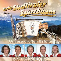 Original Sudtiroler Spitzbuam – Unsere großen Erfolge - Instrumental