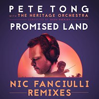 Přední strana obalu CD Promised Land [Nic Fanciulli Remixes]