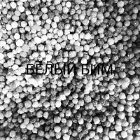 Přední strana obalu CD Белый Бим