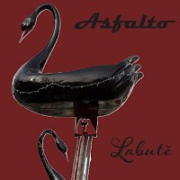 Přední strana obalu CD Labutě