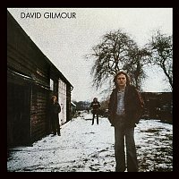 Přední strana obalu CD David Gilmour