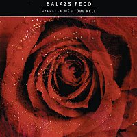 Fecó Balázs – Szerelem még tobb kell