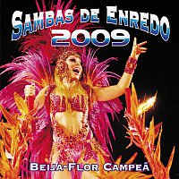 Různí interpreti – Sambas De Enredo Das Escolas De Samba - Carnaval 2009