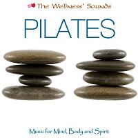 Různí interpreti – The Wellness' Sounds: Music for Mind, Body & Spirit – Pilates
