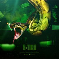 PAY – G Ting
