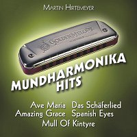 Martin Hirtemeyer – Mundharmonika Hits