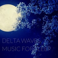 Golden Koopa, Jijivisha, Qarkan, Asha Prerna – Delta Waves Music for Sleep