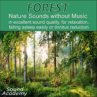 Nature Sounds for Relaxation – Forest - Nature Sounds without Music in excellent sound quality, for relaxation, falling asleep easily or tinnitus reduction