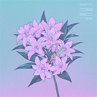 tofubeats – SOMEBODY TORE MY P