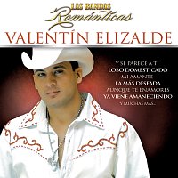 Valentín Elizalde – Las Bandas Románticas