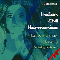 Přední strana obalu CD Indian Chill Harmonics