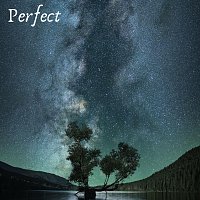 Přední strana obalu CD Perfect