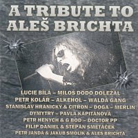 A Tribute to Aleš Brichta