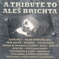 Různí interpreti – A Tribute to Aleš Brichta