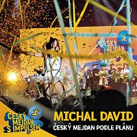 Michal David – Český mejdan podle plánu