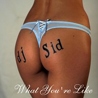 Slava Sid – Slava Sid - What You're Like