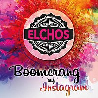 Elchos – Boomerang auf Instagram
