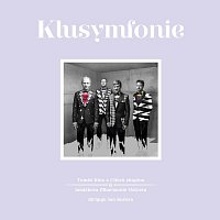 Různí interpreti – Klusymfonie CD