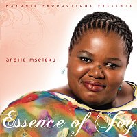 Andile Mseleku – The Essence Of Joy