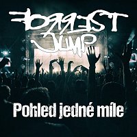 FORREST JUMP – Pohled jedné míle