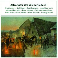 Přední strana obalu CD Altmeister des Wienerliedes II