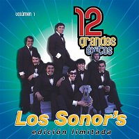 Los Sonor's – 12 Grandes exitos Vol. 1