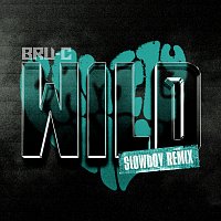 Bru-C – Wild [Slowboy Remix]