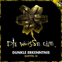 Přední strana obalu CD 12: Dunkle Erkenntnis - Kapitel III