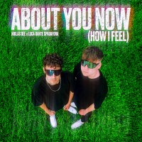 Niklas Dee, Luca-Dante Spadafora – About You Now (How I Feel)