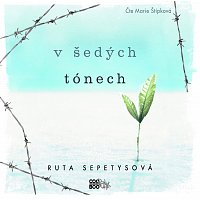 Přední strana obalu CD V šedých tónech