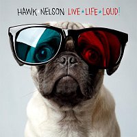Hawk Nelson – Live Life Loud