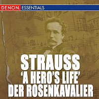 Různí interpreti – Richard Strauss: Symphonic Works