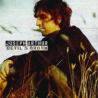 Joseph Arthur – Devil's Broom (7")