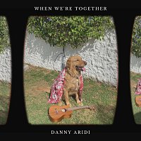 Danny Aridi – When We're Together